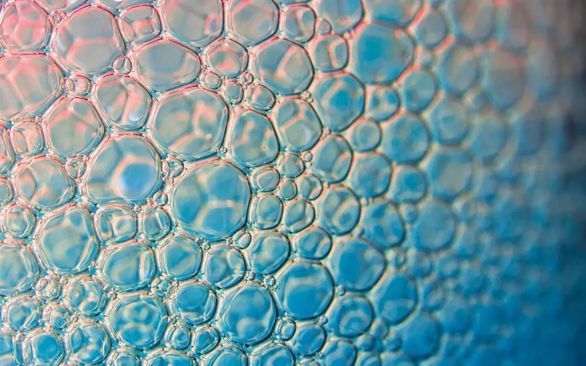 Macro texture of densely clustered cells standing for polycystic ovarian morphology